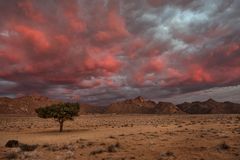 auf rosa Wolken schweben 