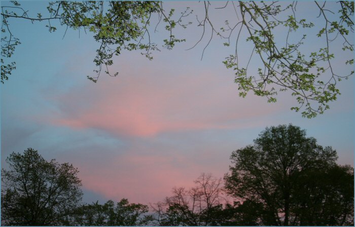 Auf rosa Wolken schweben...