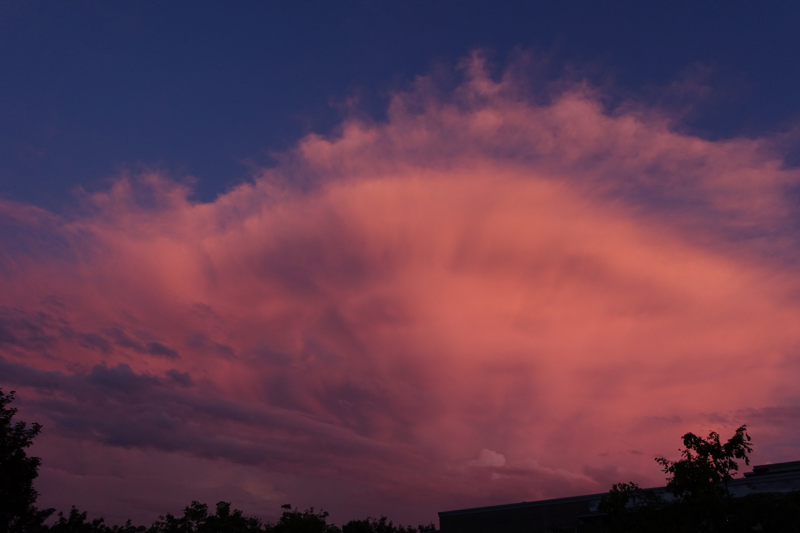 auf rosaroten Wolken schweben