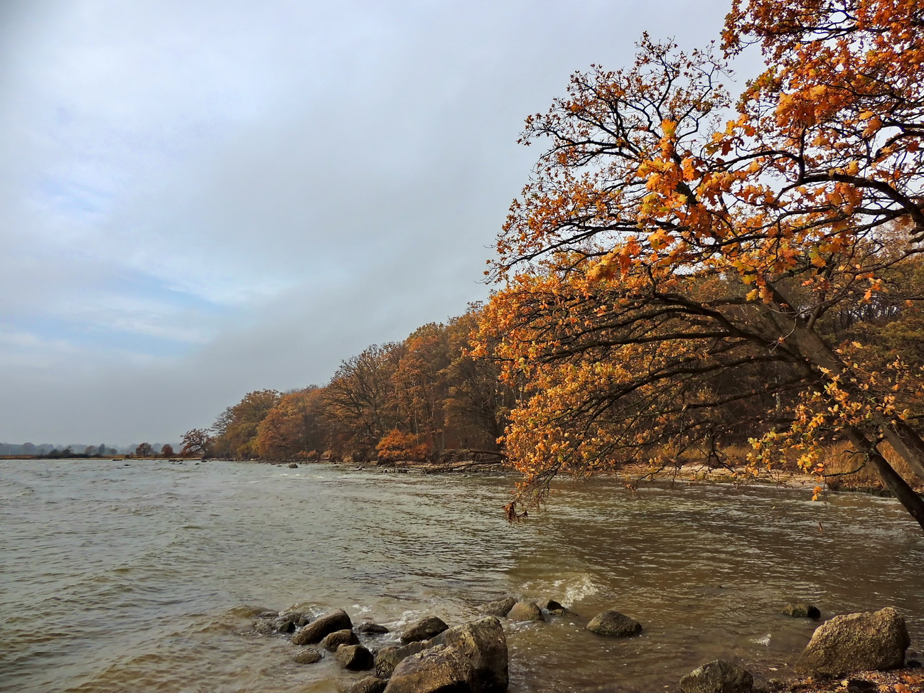 auf Rügen