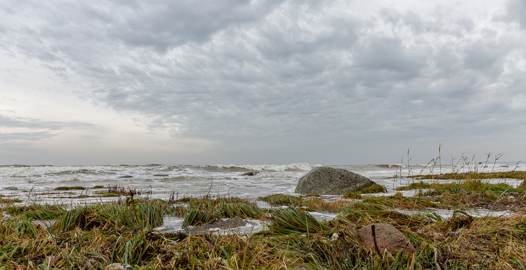 Auf Rügen am Kreidefelsen im November