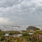 Auf Rügen am Kreidefelsen im November