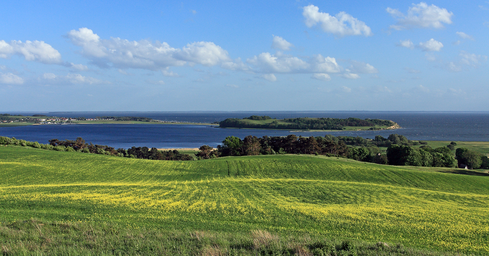 Auf Rügen im Frühling