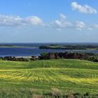 Auf Rügen im Frühling