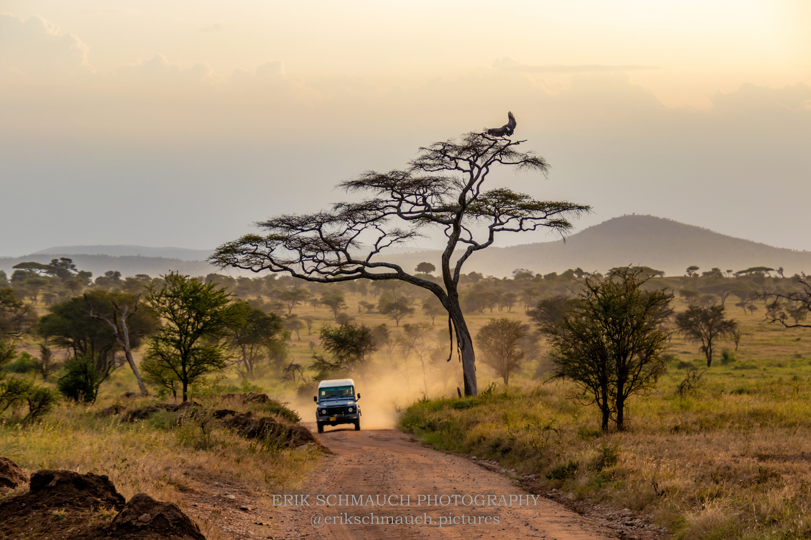 Auf Safari in Tansania 