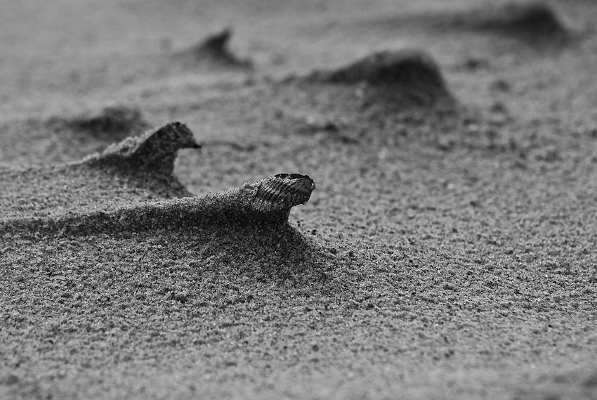 ...auf Sand gebaut (1)