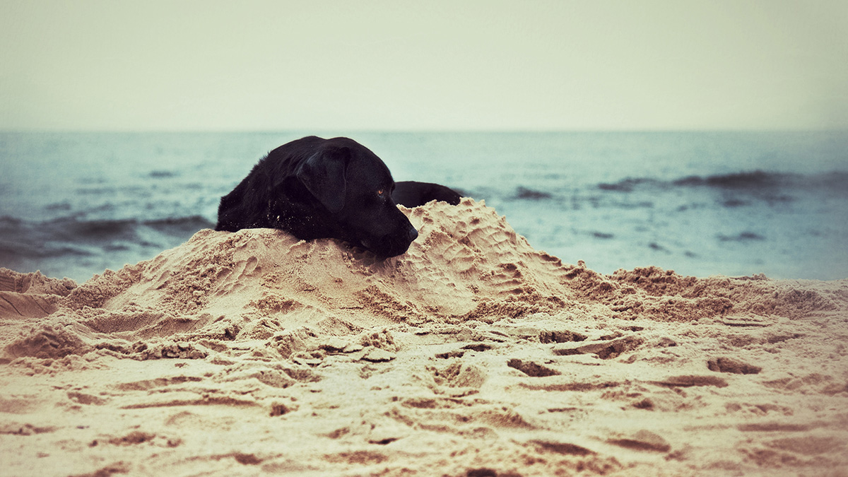 auf Sand gebaut...