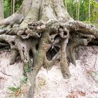 Auf Sand gebaut