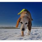 Auf Sardinien hat's kaum Schnee