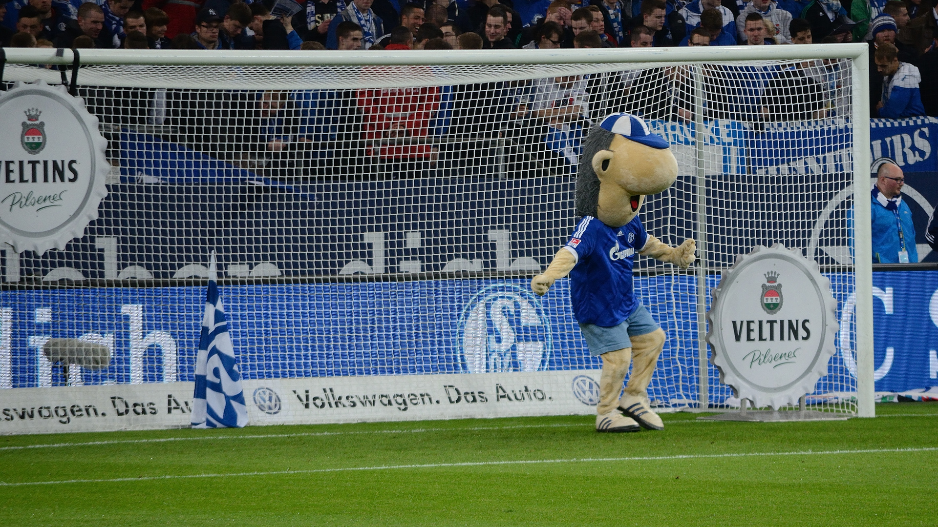 Auf Schalke. Erwin gibt alles...