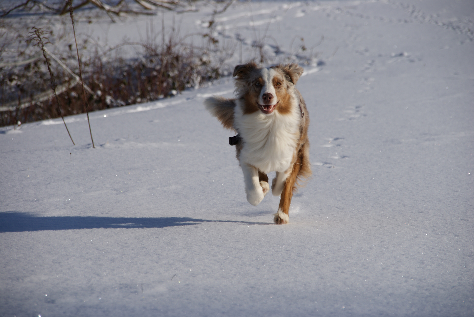 Auf Schnee!!!