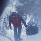 Auf Schneeschuhen durch den Lappland Wald