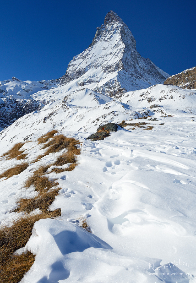 Auf Schneesuche...