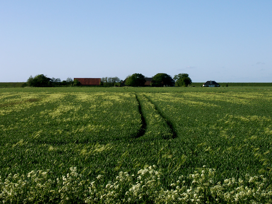 auf schnellstem Wege heim.....