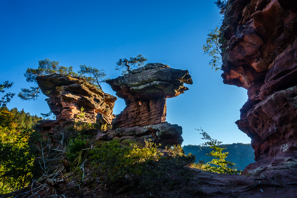 Auf Schusters Rappen zum BONSAI TISCH FELSEN