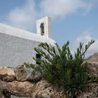 Auf Serifos