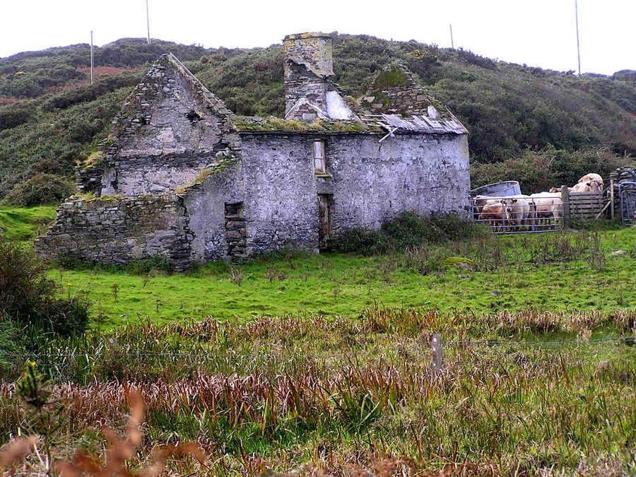 auf Sherkin Island