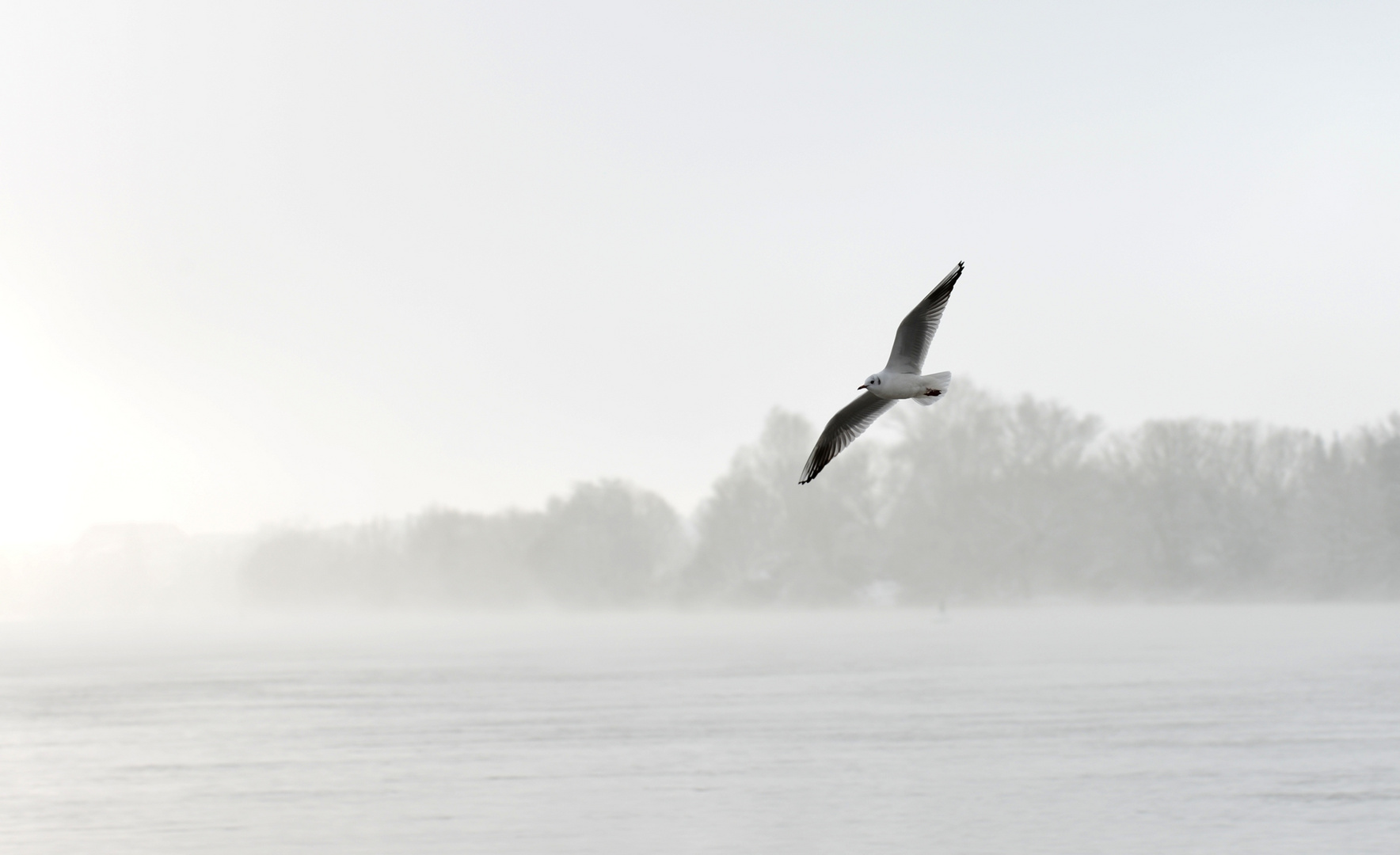 auf Sicht fliegen