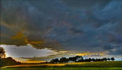 Auf Silberschwingen durch die Nacht