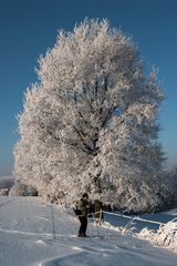 Auf Skiern 1