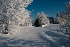 Auf Skiern 3: hier war mal eine Straße