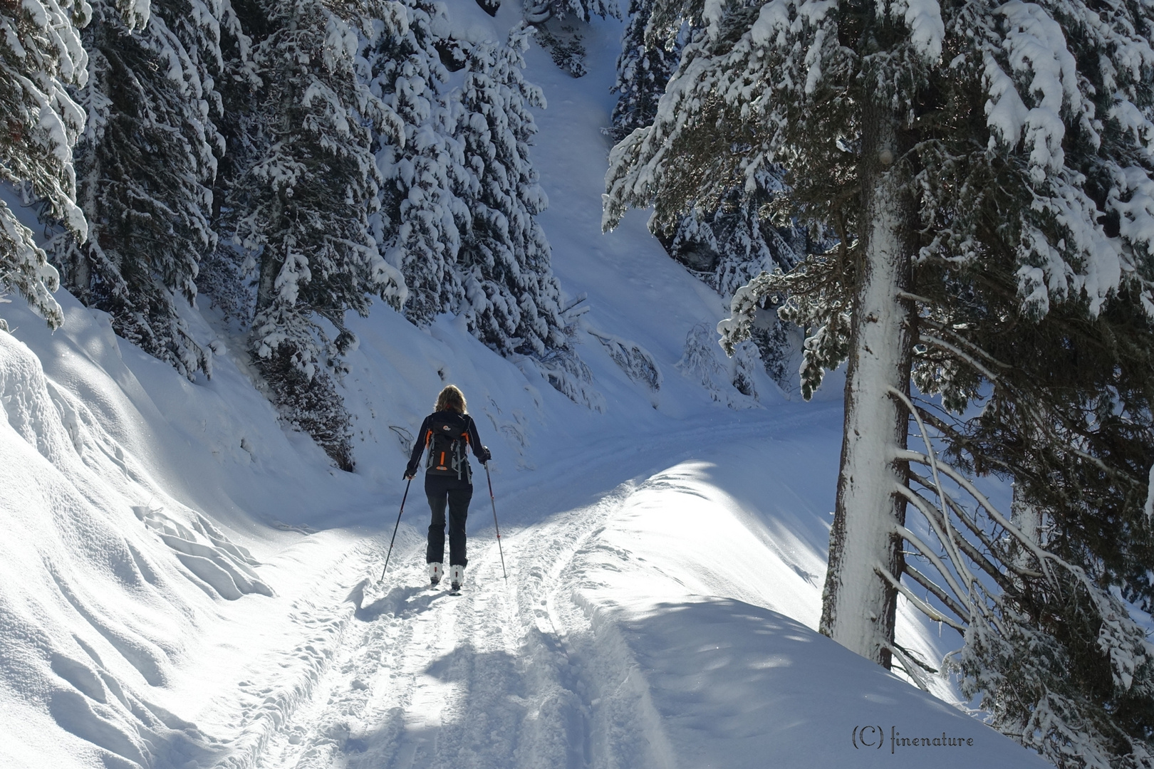 auf Skitour