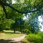 auf sommerlichen Wegen 