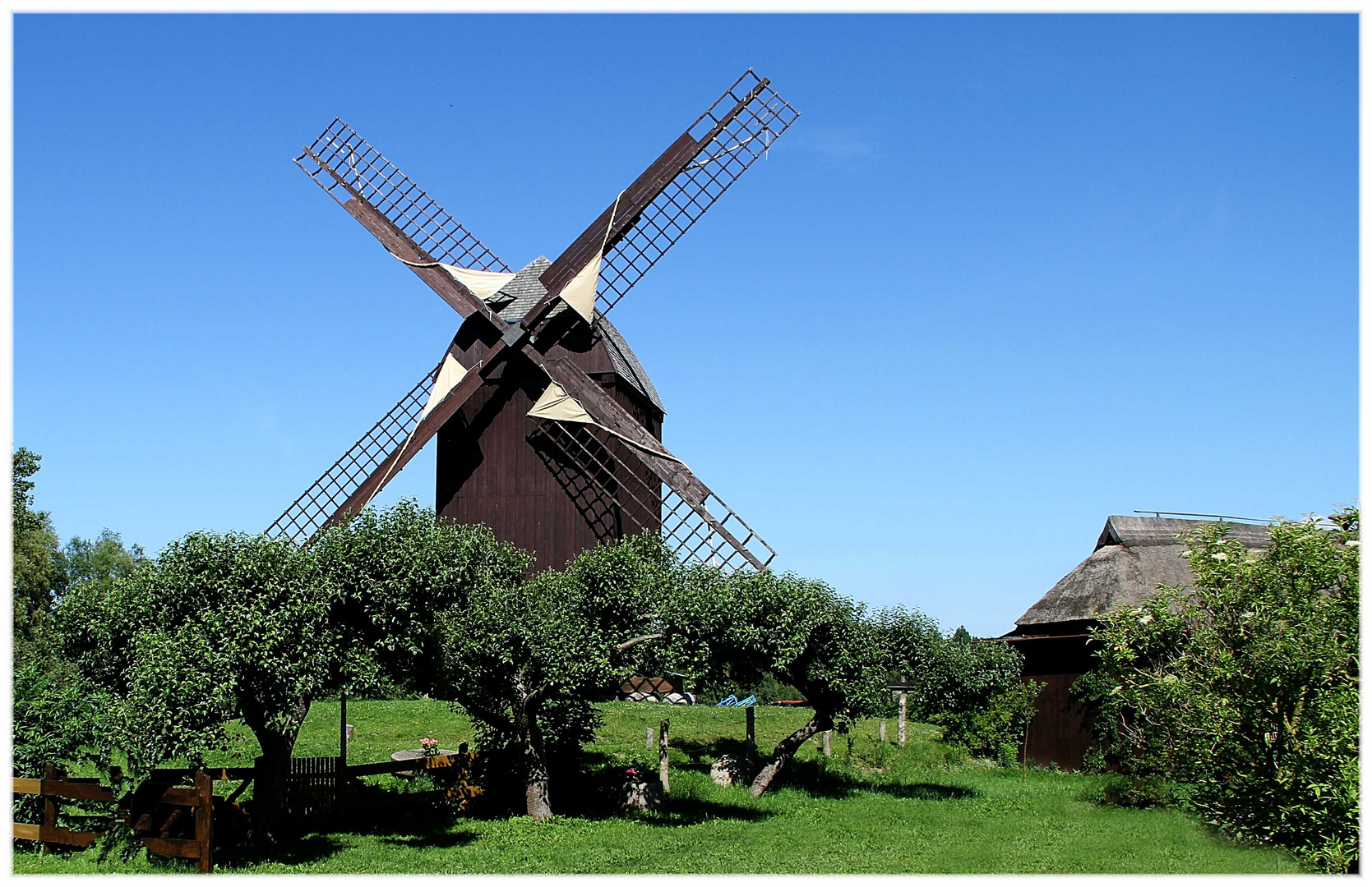 Auf Sommertour ... Hansestadt Greifswald - Windmühle Eldena