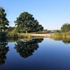 Auf spätsommerlicher Golfrunde