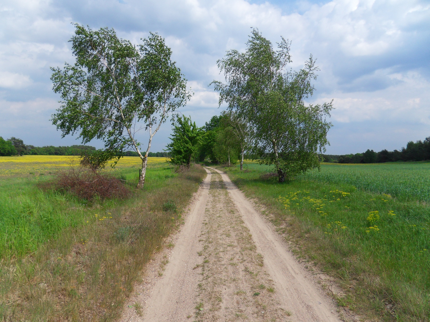 auf Spitzwegs Spuren.....