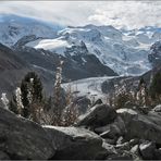 auf steinigen Pfaden dem Morteratschgletscher entlang...