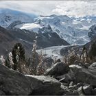 auf steinigen Pfaden dem Morteratschgletscher entlang...