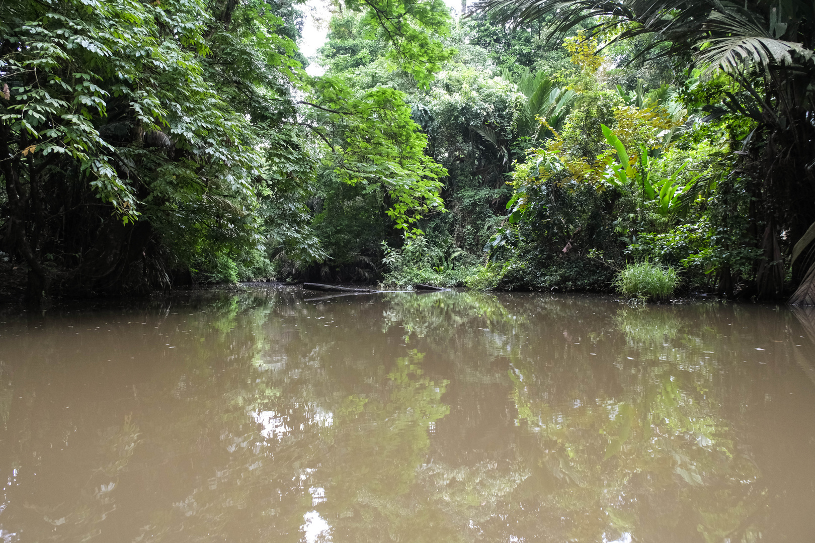 ...auf stillen Cano`s im Tortuguero NP unterwegs...