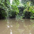 ...auf stillen Cano`s im Tortuguero NP unterwegs...