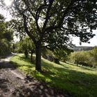 Auf stillen Wegen - Gedanken zum 3. Oktober