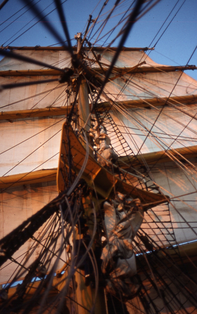 Auf Südkurs mit der Gorch Fock