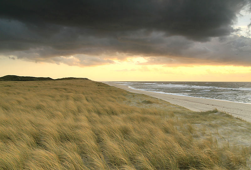 Auf Sylt