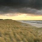 Auf Sylt