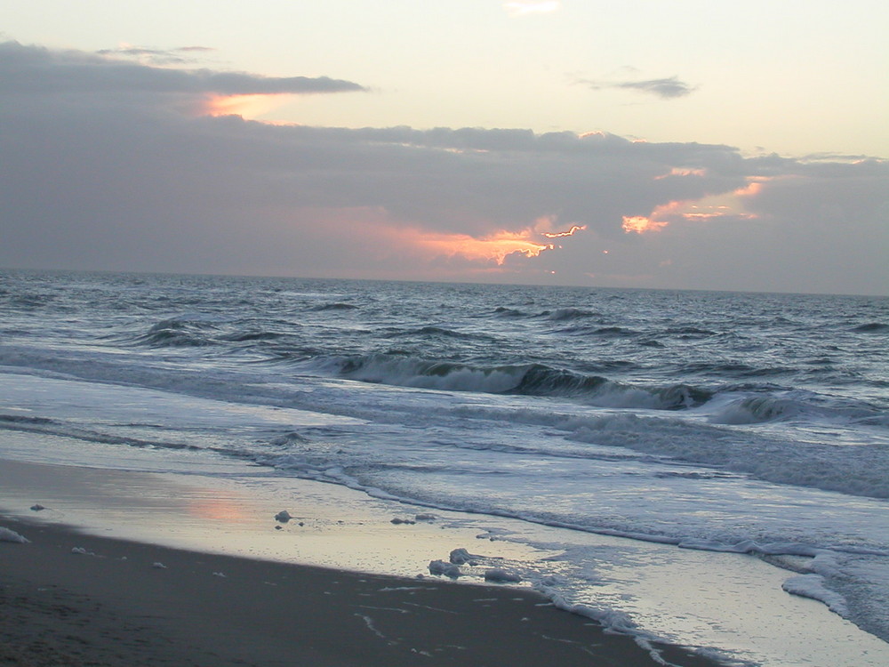 auf Sylt 2008