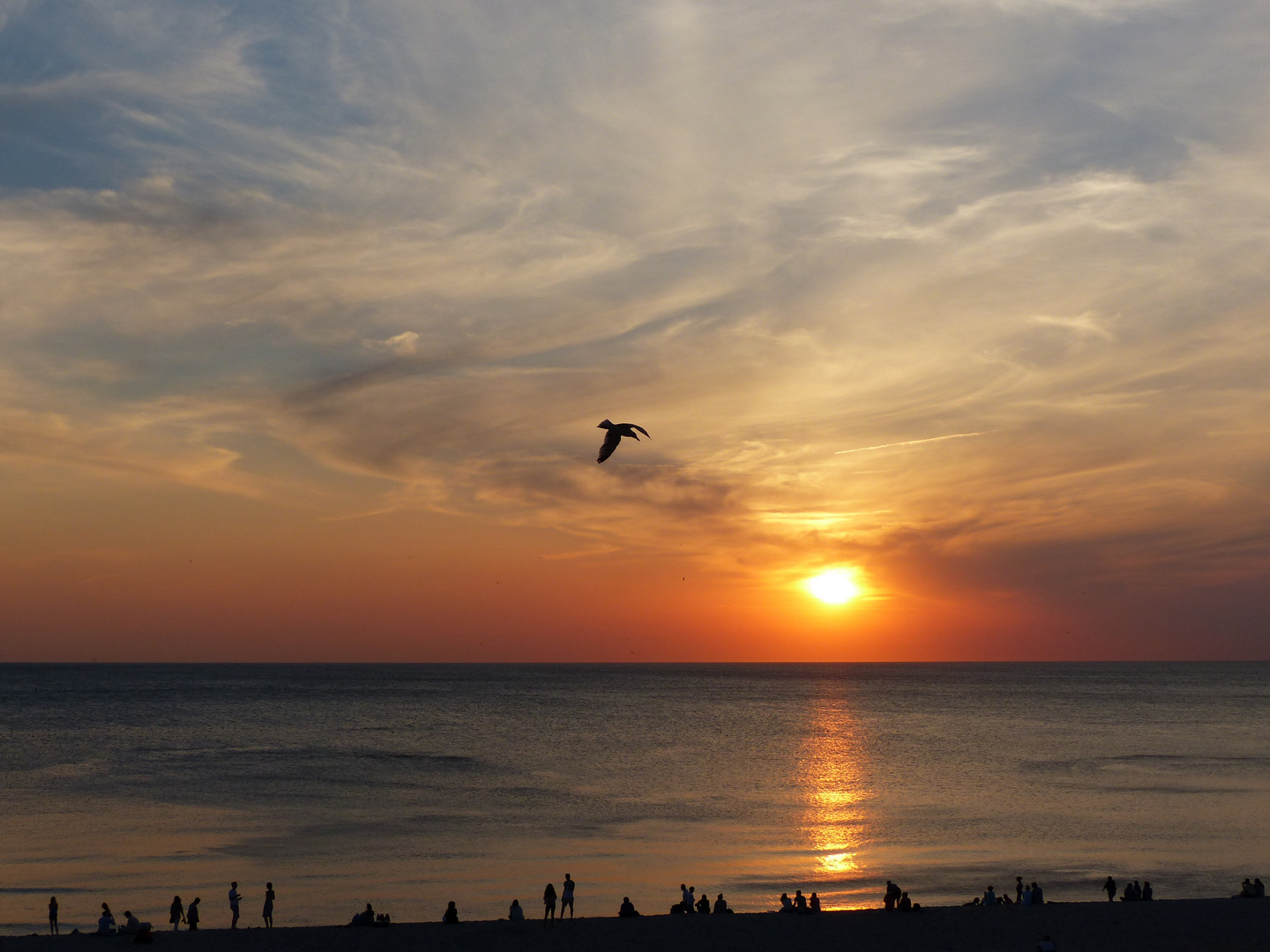 auf Sylt