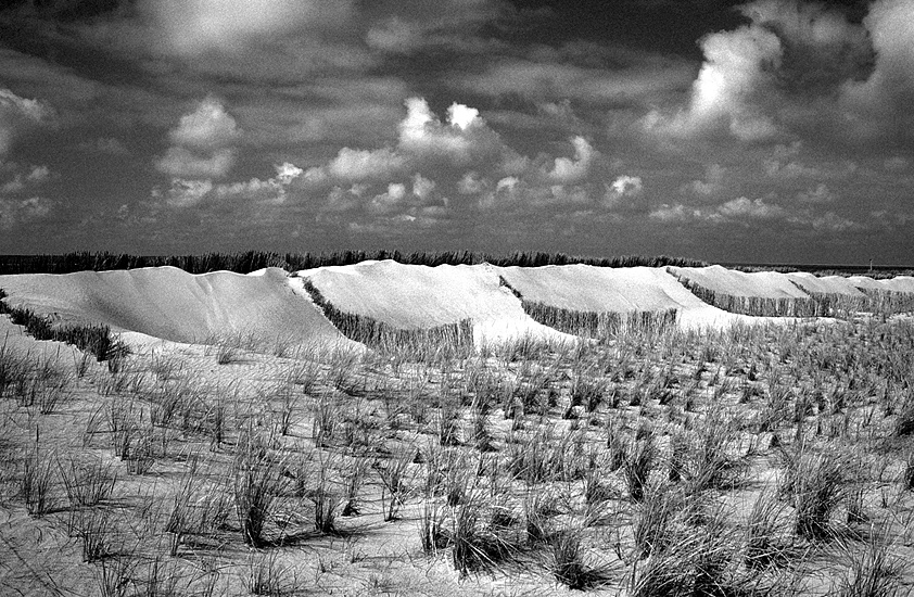 Auf Texel