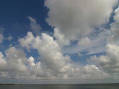 Auf Texel am Deich von De Cocksdorp 2