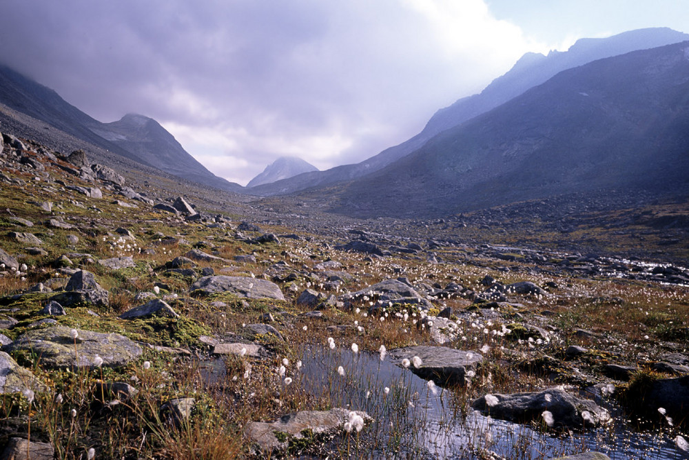 Auf Trekkingtour in Jotunheimen