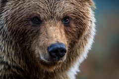 Auf Tuchfühlung…