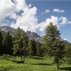 Auf über 1900 m.ü. NHN