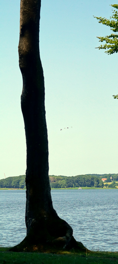 auf Ulsnis über die Schlei hinweg