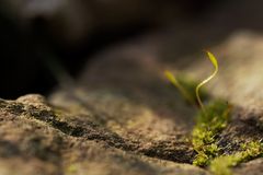 Auf Umwegen zum Licht