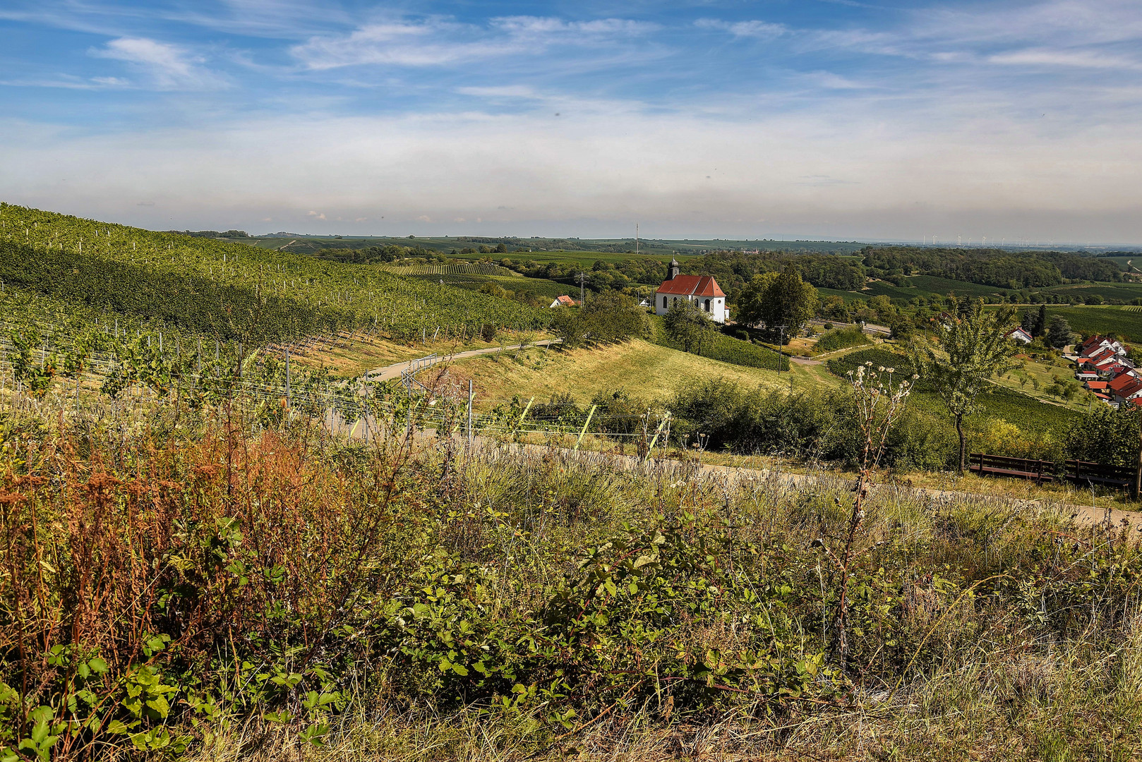 Auf und ab, durch die Weinberge