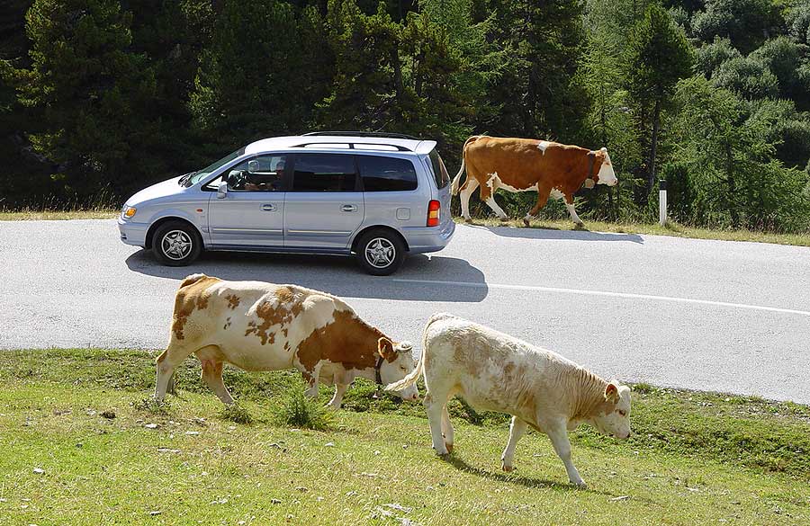 Auf- und Abtrieb