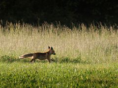 ...auf und davon!